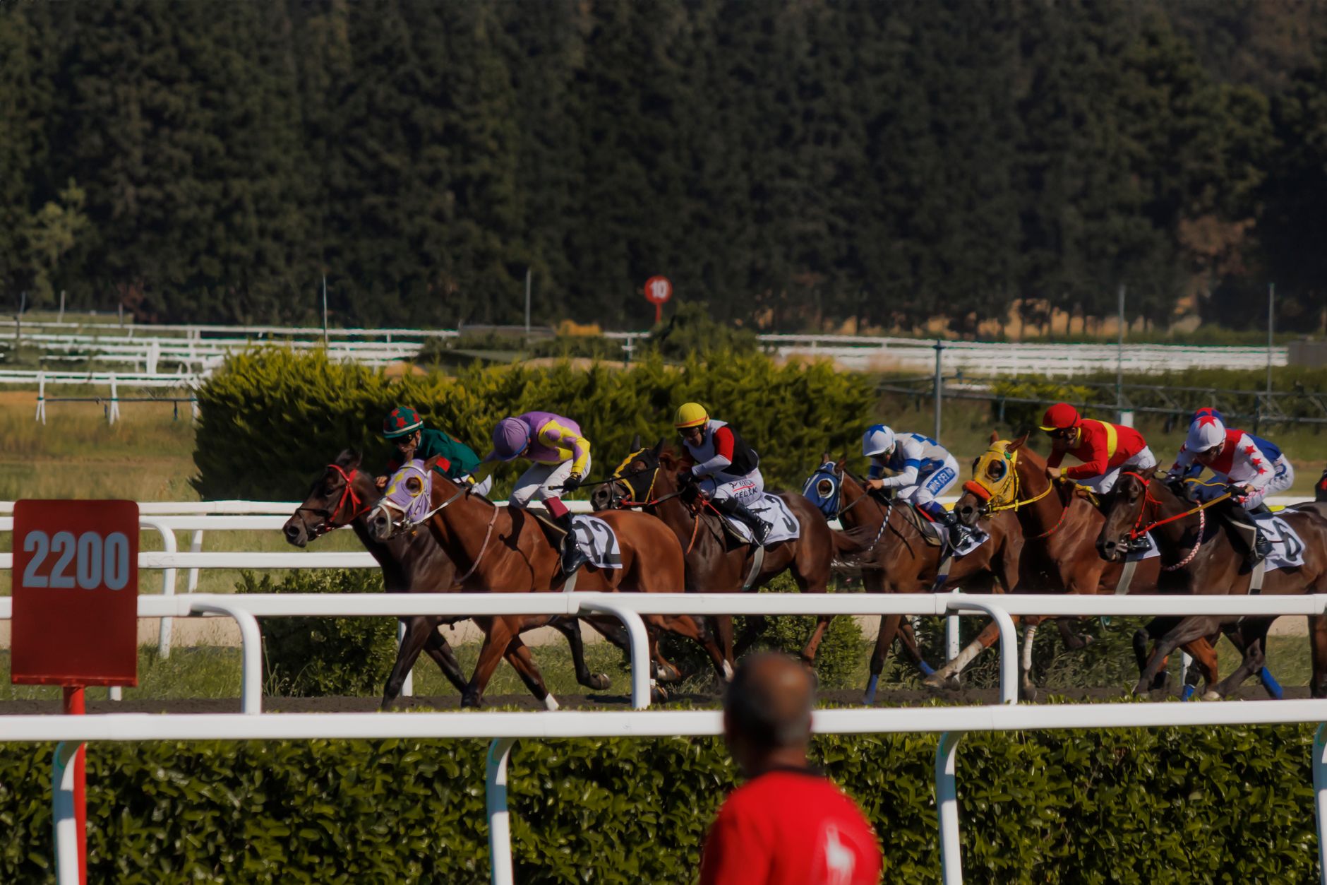 French sports betting market: Proven record stakes of €11.5bn