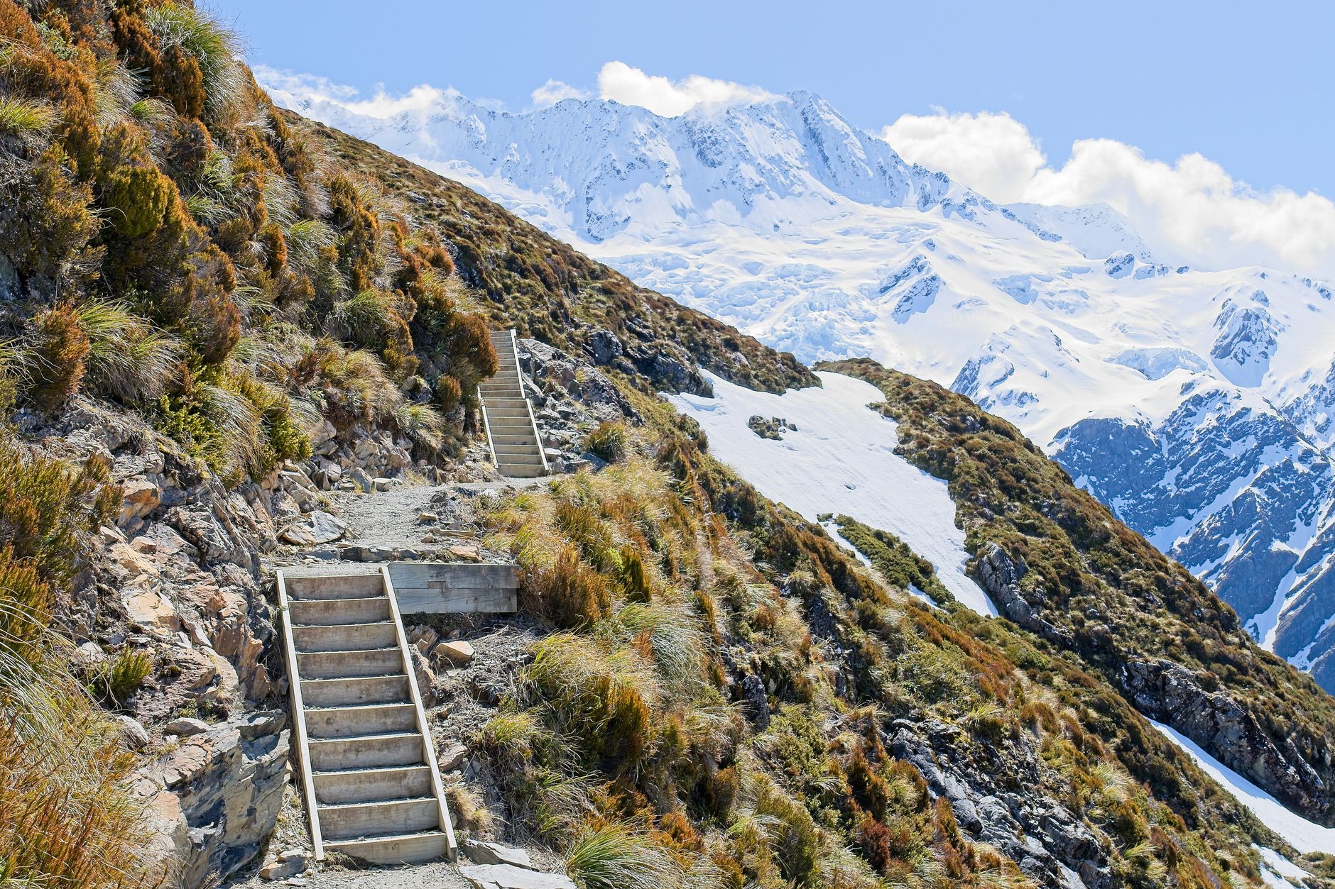Gill’s Unusual Step: A Proven Strategy for New Zealand Success